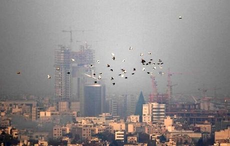 مدارس استان اصفهان در سوم بهمن تعطیل شد / ساعات کاری اصناف کمتر شد