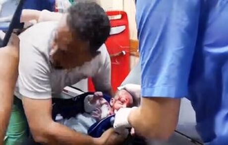 آمار شهدای غزه از ۸۷۰۰ نفر گذشت