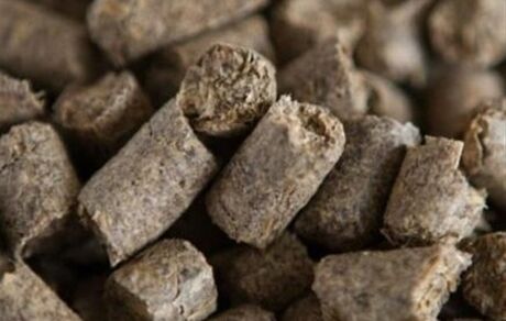 با درخواست وزارت جهاد کشاورزی، صادرات تفاله چغندر و نیشکر آزاد شد