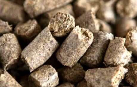 با درخواست وزارت جهاد کشاورزی، صادرات تفاله چغندر و نیشکر آزاد شد