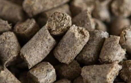 با درخواست وزارت جهاد کشاورزی، صادرات تفاله چغندر و نیشکر آزاد شد