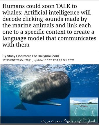 انسان به زودی با نهنگ‌ صحبت می‌کند.