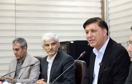 اصلاح آییننامه مالی دهیاریها در دستور کار است