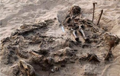 کشف گوری با جسد یک کودک و ۱۴۲ سگ در مصر