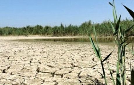 خشک شدن ۴ درصد "هورالعظیم" در ۵ روز گذشته / مرگ و میر نگران‌کننده آبزیان