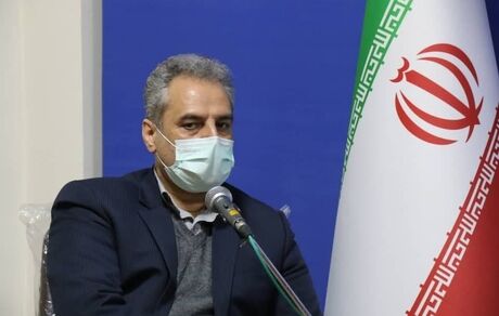 امکان تولید ۴میلیون تن نهاده دامی در کشور را داریم