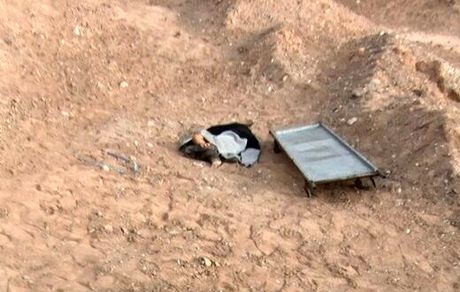 مرگ دلخراش کودک میبدی؛ پسر ۸ ساله طعمه سگ‌های وحشی شد