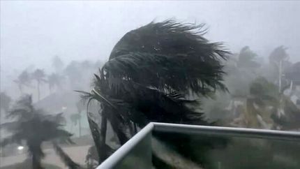 ده‌ها کشته و زخمی در طوفان و گردباد برزیل