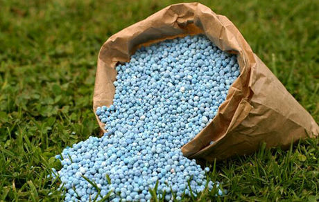 بازار کود حیوانی و انسانی داغ شد