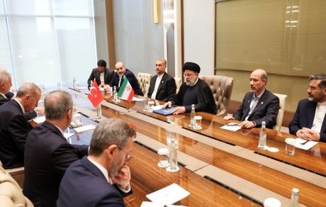 رئیسی در خصوص فلسطین با اردوغان دیدار کرد