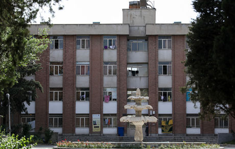 اظهارات قاضی شهریاری درباره خودکشی یک دانشجوی دانشگاه تهران