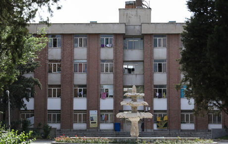 اظهارات قاضی شهریاری درباره خودکشی یک دانشجوی دانشگاه تهران