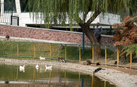 فعلا خبری از بارندگی نیست