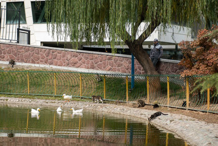 فعلا خبری از بارندگی نیست