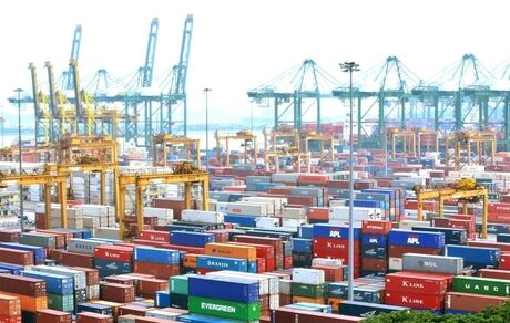 ترخیص ۱۰ میلیون تن کالای اساسی از ابتدای امسال