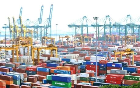 ترخیص ۱۰ میلیون تن کالای اساسی از ابتدای امسال