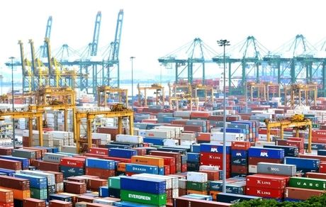 ترخیص ۱۰ میلیون تن کالای اساسی از ابتدای امسال