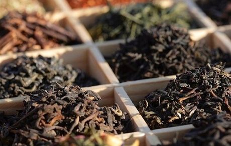 صادرات ۱۱ هزار تنی چای ایرانی در یازده ماهه امسال
