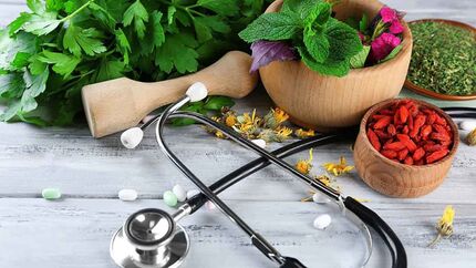 پرورش ۸ هزار نوع گیاه دارویی در کشور