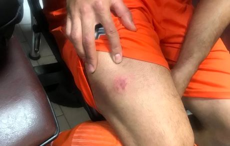 لوئیز سوآرز ایرانی رونمایی شد