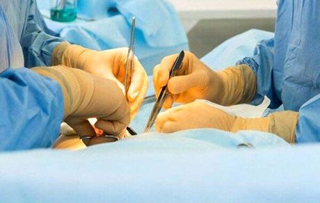 بزرگ‌ترین اهدای عضو در بوشهر با سومین اهدای قلب/ انتقال ۵ عضو جوان ۱۹ ساله به تهران و شیراز