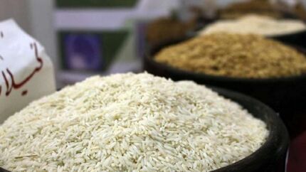 آغاز ثبت سفارش برنج خارجی