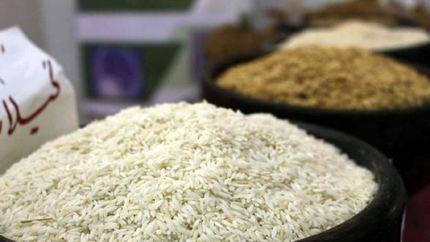 آغاز ثبت سفارش برنج خارجی