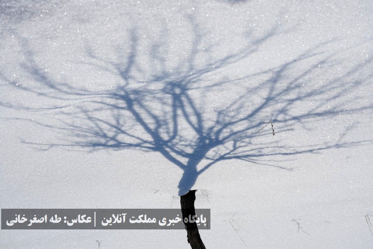 ارومیه زیر پوست برف