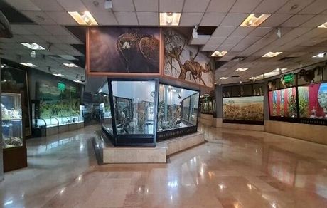 رایگان شدن بازدید از موزه‌ها و اماکن فرهنگی وتاریخی برای دانشجویان و اساتید