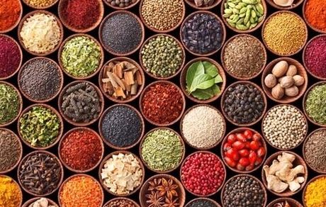 برداشت ۳۳ هزار تن انواع گیاهان دارویی طی سال گذشته در استان خوزستان