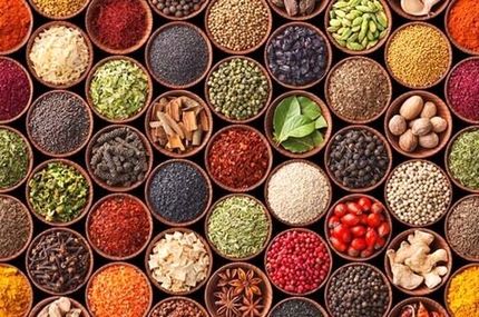 برداشت ۳۳ هزار تن انواع گیاهان دارویی طی سال گذشته در استان خوزستان