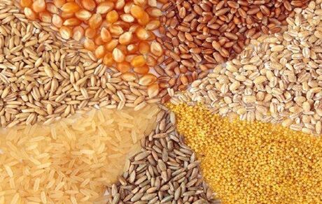 جزئیات قیمت‌های جدید نهاده‌های دامی