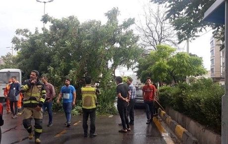 طوفان برق نیمی از گنبد کاووس را قطع کرد