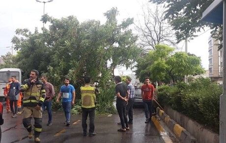 طوفان برق نیمی از گنبد کاووس را قطع کرد