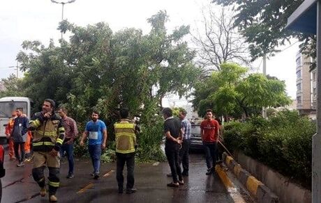طوفان برق نیمی از گنبد کاووس را قطع کرد