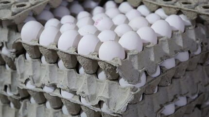 قیمت  هر شانه تخم‌مرغ برای مصرف کننده، ۶۵ هزار تومان شد