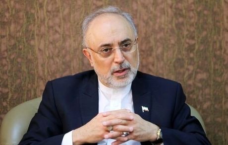 صالحی از اجرای قانون اقدام راهبردی برای لغو تحریم‌ها استنکاف کرده است