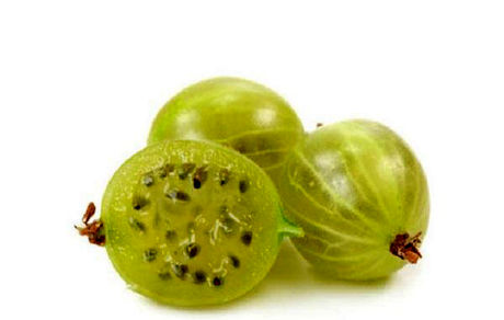 "آمله"، گیاهی برای تقویت ذهن و قلب