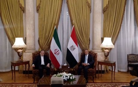 عراقچی با وزیر خارجه مصر دیدار و گفت و گو کرد
