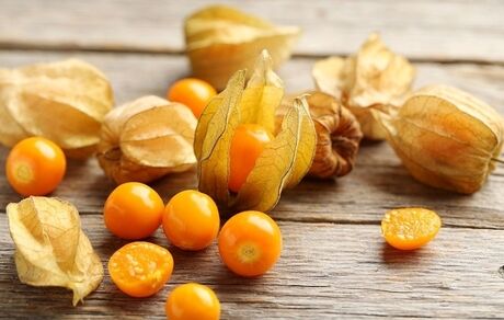 فیسالیس؛ فواید و خاصیت درمانی آن برای سلامت بدن