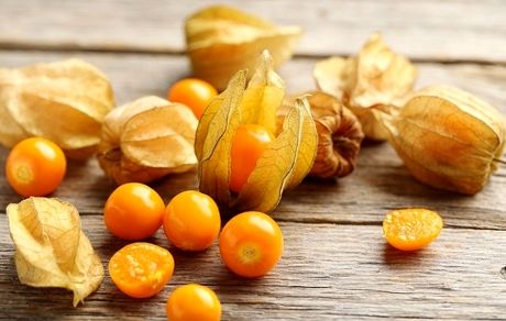فیسالیس؛ فواید و خاصیت درمانی آن برای سلامت بدن