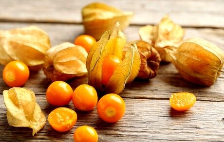 فیسالیس؛ فواید و خاصیت درمانی آن برای سلامت بدن