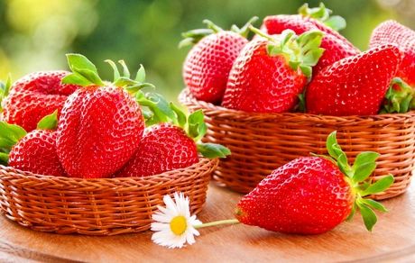 این ۵ خوراکی مفید را برای حل معضل فراموشی به خاطر بسپارید