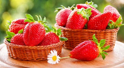 این ۵ خوراکی مفید را برای حل معضل فراموشی به خاطر بسپارید