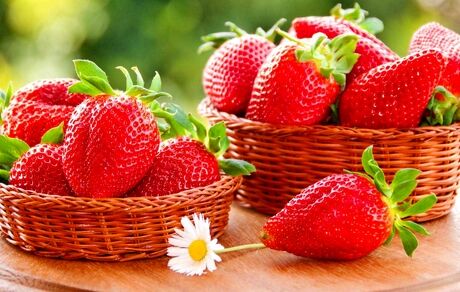 این ۵ خوراکی مفید را برای حل معضل فراموشی به خاطر بسپارید