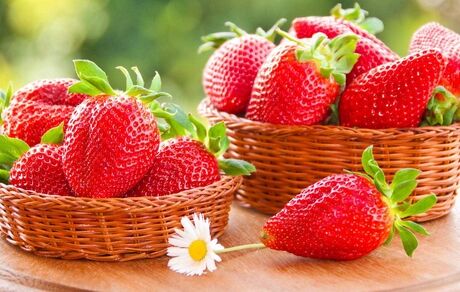 این ۵ خوراکی مفید را برای حل معضل فراموشی به خاطر بسپارید