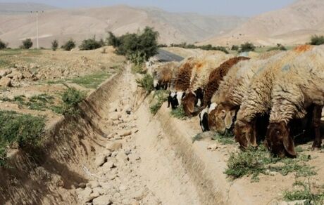 تشدید کم آبی ناشی از تغییرات اقلیمی در عراق