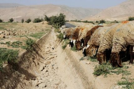 تشدید کم آبی ناشی از تغییرات اقلیمی در عراق