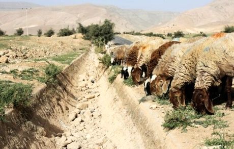 تشدید کم آبی ناشی از تغییرات اقلیمی در عراق