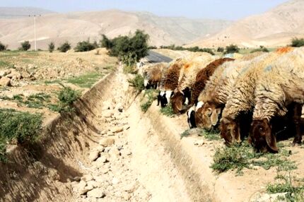 تشدید کم آبی ناشی از تغییرات اقلیمی در عراق